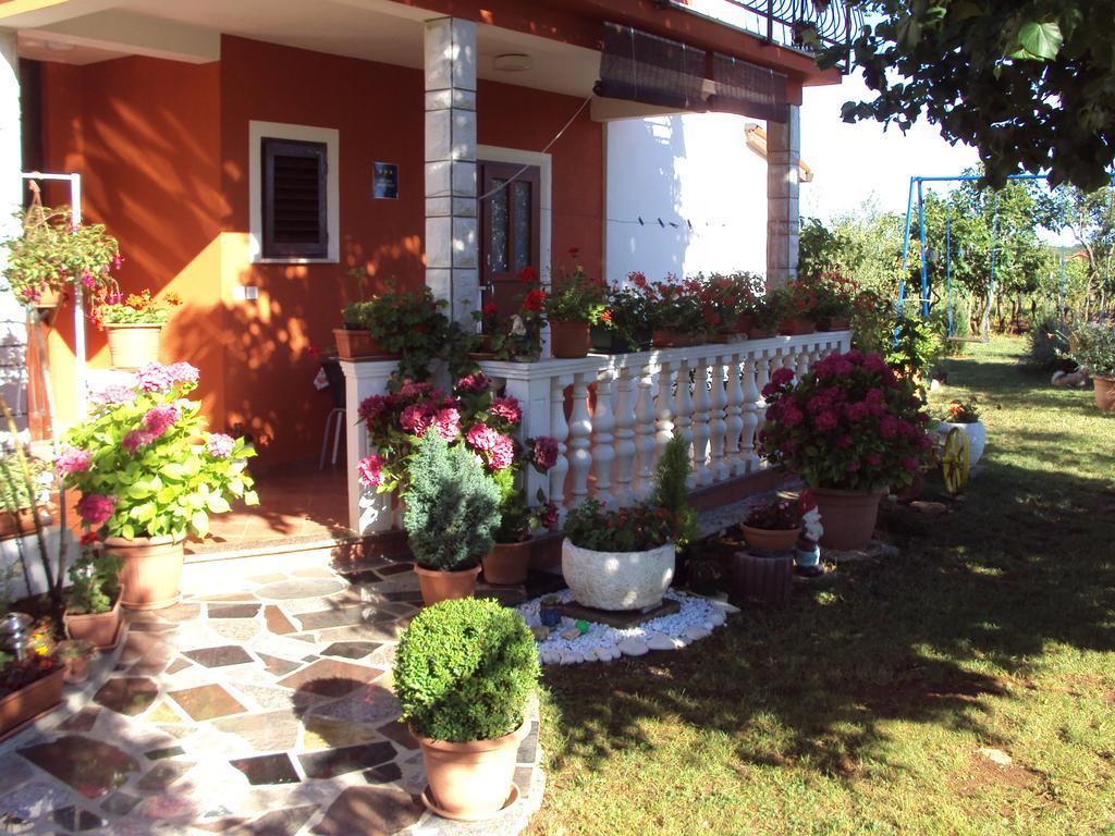 Apartament Gogo