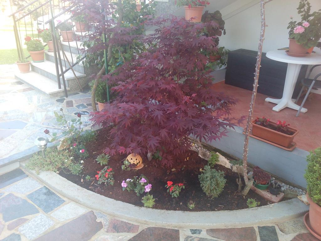 Apartament Gogo